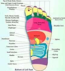 Foot Reflexology Chart Places To Massage On The Foot To Help Those Parts Of The Body Reflexology Reflexology Chart Shiatsu Massage