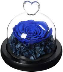 Maybe you would like to learn more about one of these? Buy Handmade Forever Real Roses In Glass Dome Preserved Flower With Heart Shape Glass Romantic Gifts The Best Gift For Valentine S Day Mother S Day Christmas Anniversary Birthday Thanksgiving Girls Online In