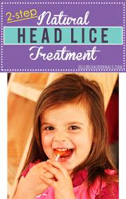 natural overnight head lice treatment