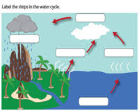 Science, grade 2 (8) earth and space. Water Cycle Worksheets