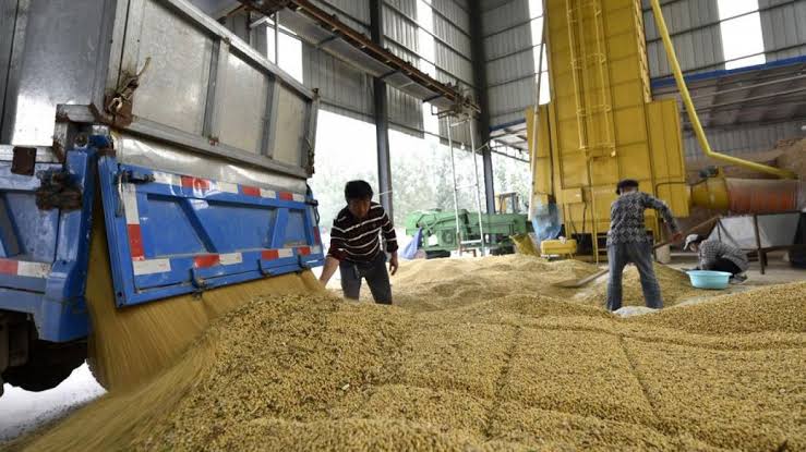 La industria del crushing con récord históricos en 2024 - Revista Chacra