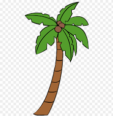 Table 1 and table 2 of native tree species suitable for use in south florida will help in making the right choices for various landscape situations. How To Draw Palm Tree Palmetto Tree Easy To Draw Png Image With Transparent Background Toppng