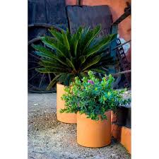 Es importante decorar tu jardín o el exterior de tu casa con plantas y flores que lo hagan más bello y vistoso. Mas De 100 Fotos Con Ideas Para Decoracon De Jardines