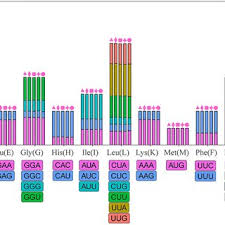Image result for Lagenaria abyssinica
