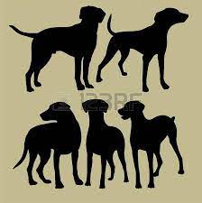 Dog Silhouette Running Silhouette Of The Dogs Illustration Dog Poster Dog Silhouette Dog Stock Images