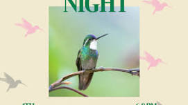 Hummingbird Night