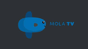 Sepak bola ini merupakan olah raga paling murah paket ini merupakan paket akses streaming mola tv apk pada mola movie, mola kids, dan mola living. Alasan Streaming Di Mola Tv Harga Terjangkau Banyak Koleksi Film Tirto Id