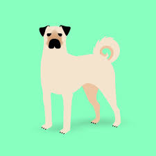 Kangal Dog