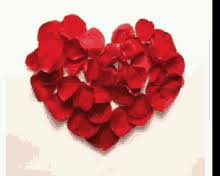 Https Encrypted Tbn0 Gstatic Com Images Q Tbn And9gcsd77p34dqiwlykfy3do6quxvvrjajmgmyjra Usqp Cau Falling rose petals, 2 whirl transitions, titles revealer, heart frame. 2