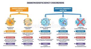 Image result for Humoral Immunodeficiency