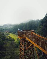 Perkembangan daerah wisata di bogor pun cukup dinamis. 15 Destinasi Wisata Bogor Yang Mengesankan Dan Instagrammable