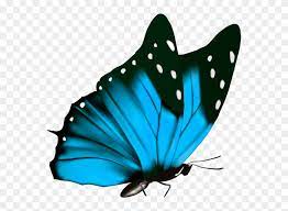 Butterfly icon, watercolor butterfly, blue and purple butterflies illustration, watercolor painting, blue, watercolor leaves png. Butterfly Png Clipart Image Blue Butterfly Png Transparent Png 796785 Pinclipart