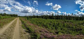 Tåg i bergslagen trafikerar ett område som sträcker sig över gävleborg, västmanland, dalarna och örebro län. Gruvrundan Bergslagen 2016 Moppedistas