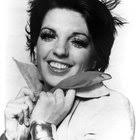 Liza Minnelli Was 'Truly Devastated' When She Found First Husband 'In a  Compromising Situation with Another Man' : r/entertainment