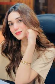 12v DC to 220v AC Inverter Circuit