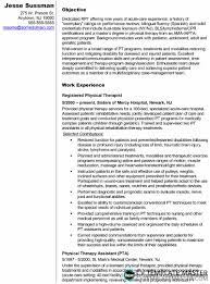 Example Cv Or Resume Template For A Physiotherapist Cv Template Master
