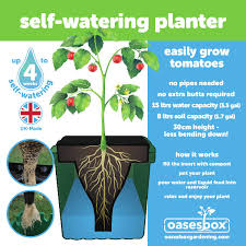 The tomato success kit includes everything you need to grow tomatoes in containers (except tomato seedlings): The Oasesbox For Growing Tomatoes