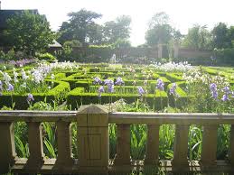 Bearded iris comes in several size ranges with differing bloom times. Bearded Irises How To Care For Bearded Irises High Impact Easy To Grow