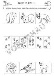 Tiere Im Winter Werkstatt Fur Die Grundschule Winterschlaf Tiere Grundschule Tiere