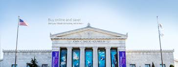 Shedd Aquarium Every Day 9 A M To 6 P M General Admission 8 6 Shedd Pass 30 95 21 95 5 For Shedd Aquarium Chicago Travel Chicago Attractions