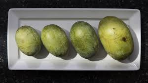 Asimina triloba, or the pawpaw fruit tree, is a member of the custard apple family, annonaceae. This Once Obscure Fruit Is On Its Way To Becoming Pawpaw Pawpular The Salt Npr