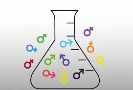 Bilime feminist eleştiri - Sarkaç