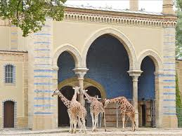 Der zoologische garten berlin im berliner ortsteil tiergarten (bezirk mitte) ist einer der beiden zoologischen gärten in berlin. Zoologischer Garten Berlin