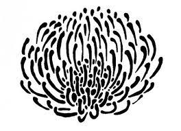 Protea Flower Wall Stencil Protea Flower Flower Stencil