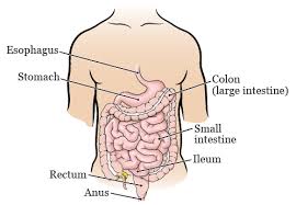 Some types of polyps can change into cancer over time (usually many years), but not all polyps become cancer. About Your Colon Resection Surgery Memorial Sloan Kettering Cancer Center