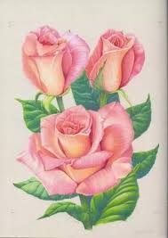 Resultado De Imagem Para Drawings Of Colored Roses Cizimler Boyama Sayfalari Suluboya Resimler
