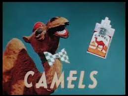 Rich tobacco taste, fresh menthol flavor, but above all else a camel. Camel Cigarettes Work Print Youtube