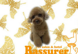 Riccio リッチオ 兵庫県神戸市灘区浜田町 3 3 20のトリミングサロン トリムトリム