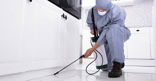 Pest control marketing, on the other hand, is becoming more and more difficult, especially for larger operators who need a steady stream of leads to keep their business profitable. How To Prepare Your Home For Pest Control