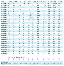 Weight Chart Treasured Puppies