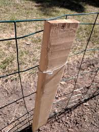 It can be easily concealed from view to maintain the beauty of your wood fence project. Quick And Easy Rabbit Fencing To Protect The Garden Taylor Callsen