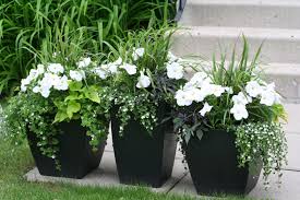 Black And White Striped Outdoor Planters Pin By C L A I R E On All About Gardening Flower Pots Outdoor Container Flowers Flower Pots