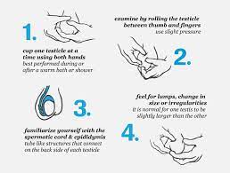 Are You At Risk Of Testicular Cancer? A Doctor Explains The Red Flags To  Look Out For - Cna Lifestyle