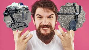 Apple Orchards In Southwest Michigan For Everyone