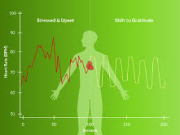 What Is Heart Rate Variability And What Can It Tell Us About