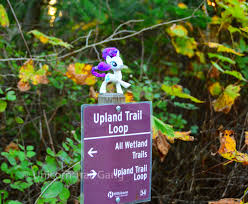 After tasting so much good food and drink, i was ready for some outdoor activity. Jackson Bottom Wetlands Preserve Part 3 Fall Finale Unicorn Trail Gang