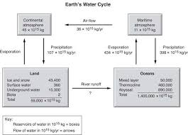 Ap Biology Question 19 Answer And Explanation_crackap Com