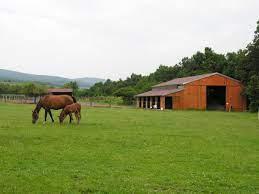 Markets are independently assessed by a third party and the inspections are carried out on an individual basis. Farma Margitin Dvor Slovakia Travel