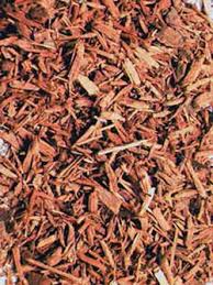 Image result for Corynanthe