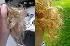 10 Bad Hair Color Results With Honey And Olive Oil Lighten Hair Naturally Natural Hair Diy Healthy Hair Tips