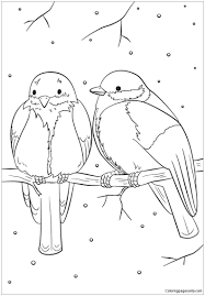 Coloring is essential for the overall development of the child. Winter Birds Coloring Pages Nature Seasons Coloring Pages Coloring Pages For Kids And Adults