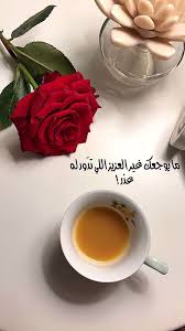 pin by yasmeen adel on وردة حمراء love quotes wallpaper arabic love quotes coffee flower