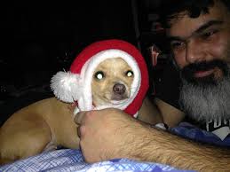 Hey All, thanks for the add! Happy Holidays!