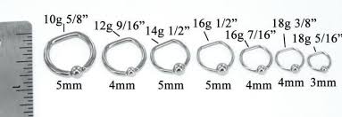 16g Stainless Steel D Ring