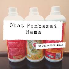 Mudah Hp Wa 082 220 228 118 Harga Obat Hama Yang Paling Ampuh Untuk Padi Di Lampung Herbal Hidroponik Wereng