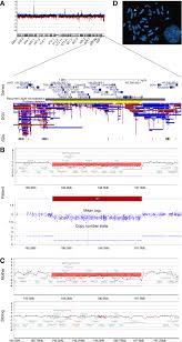 We did not find results for: Familial Inheritance Of The 3q29 Microdeletion Syndrome Case Report And Review Bmc Medical Genomics Full Text